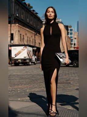 NWT Marcella NYC Gabriette Dress